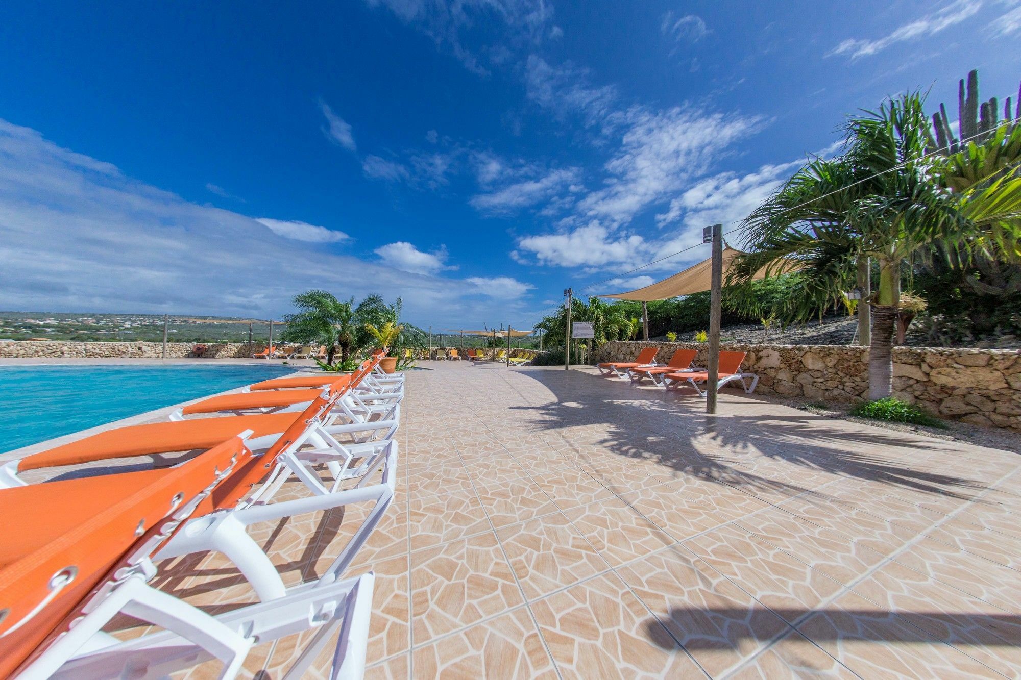 Hillside Resort Bonaire Playa Eksteriør bilde